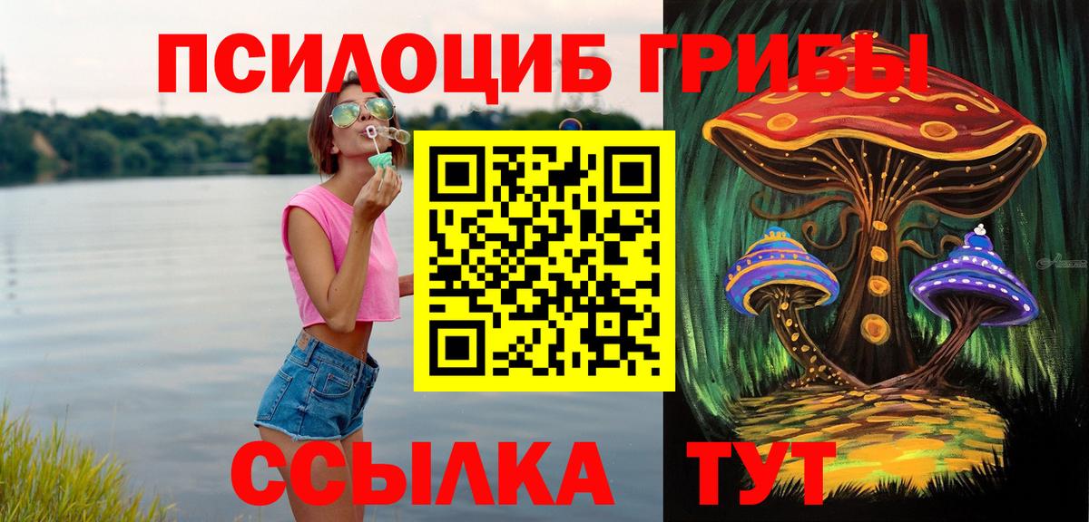 Галлюциногенные грибы Psilocybe  Галлюциногенные грибы Psilocybe  Вход с VPN  Домодедово 